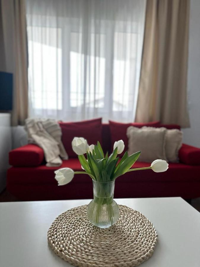 Vila Primavera Vama Veche Esterno foto